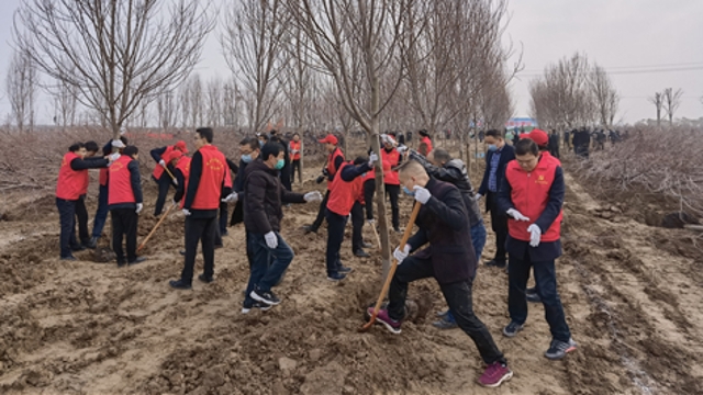 栽下樹苗，留下新綠