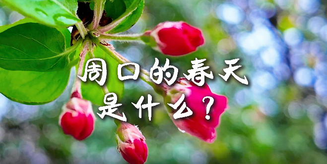 周口的春天，待你慢慢遇見(jiàn)